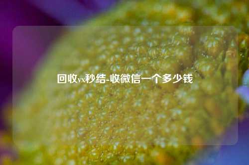 回收vx秒结-收微信一个多少钱