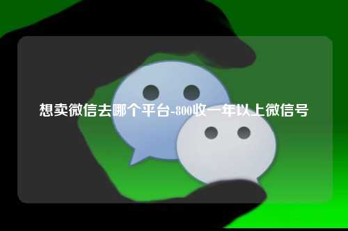 想卖微信去哪个平台-800收一年以上微信号