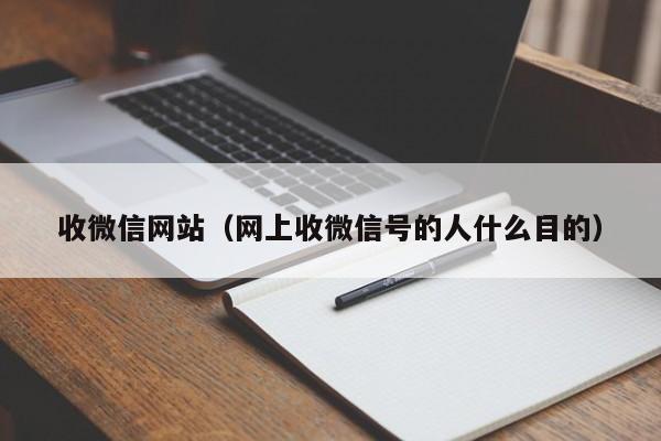 收微信网站（网上收微信号的人什么目的）